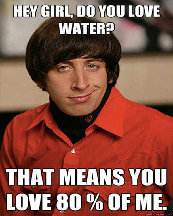 Howard Wolowitz