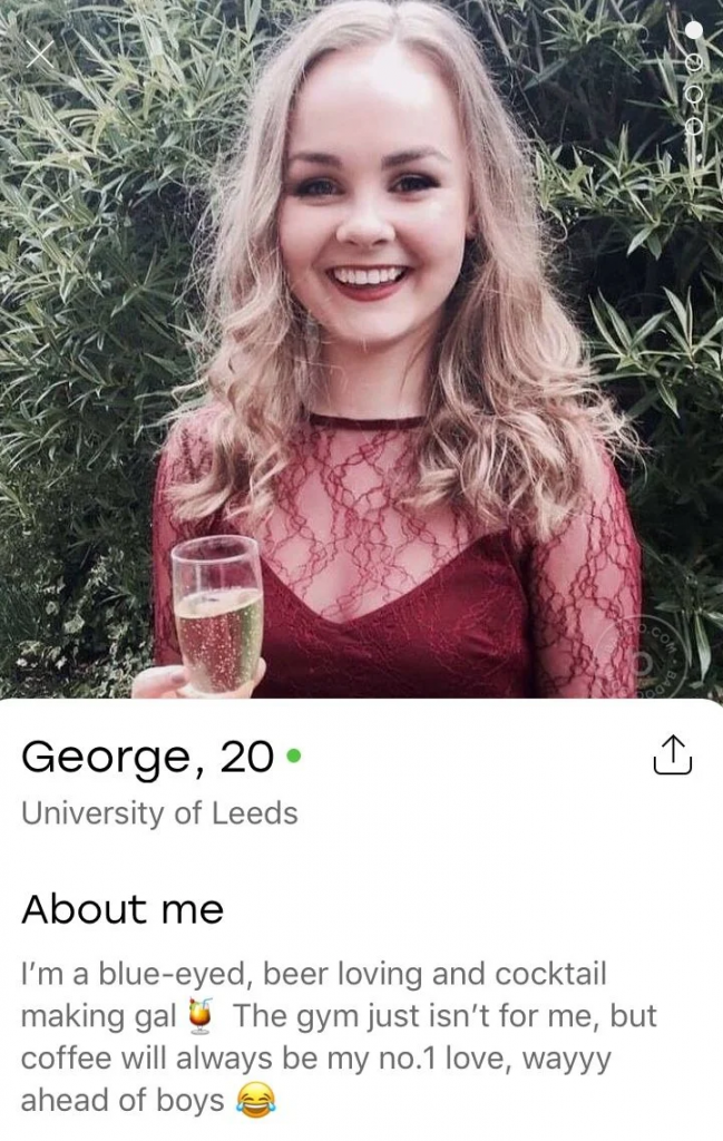 Tinder Bio For Girls: Template for Dating Profile