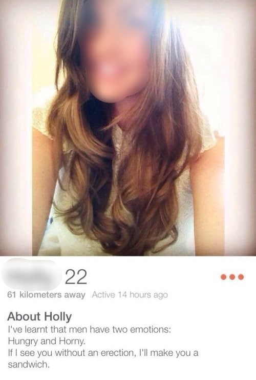 Tinder Bio For Girls: Template for Dating Profile