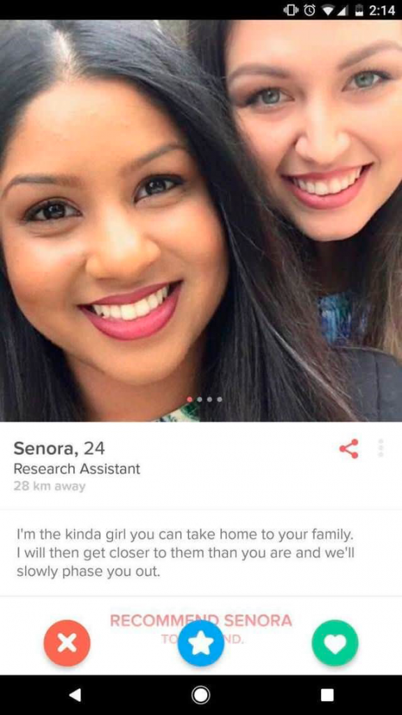 Tinder Bio For Girls: Template for Dating Profile