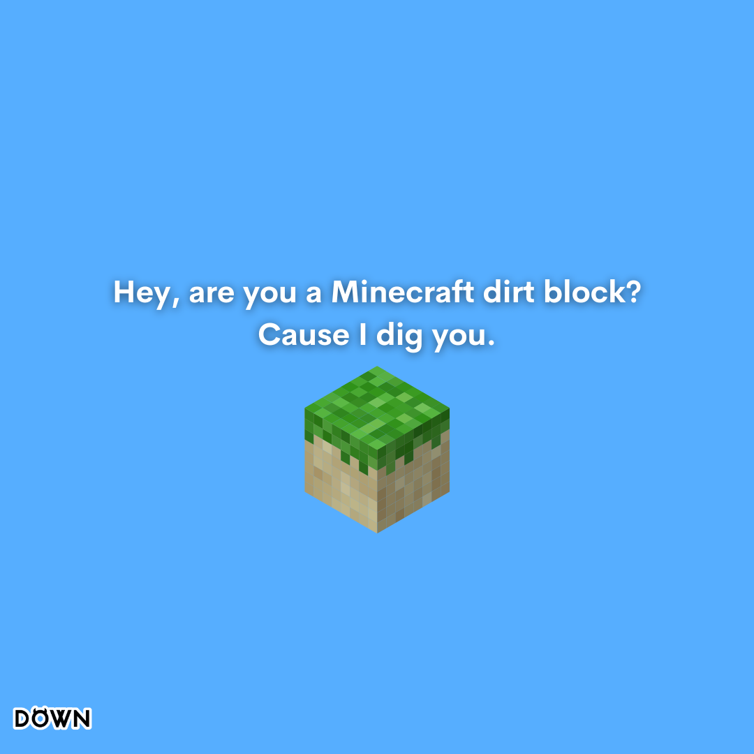 Minecraft Pickup Lines