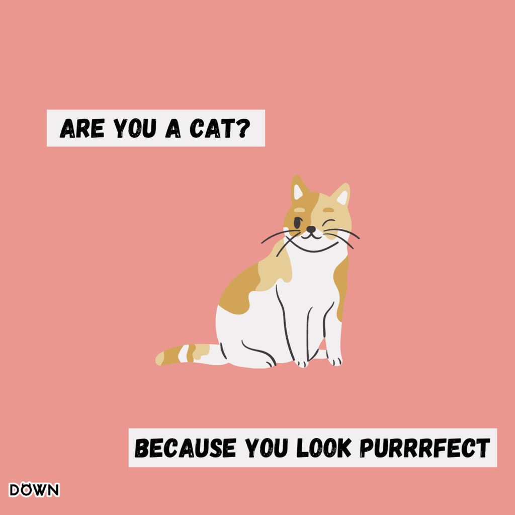 "Are you a cat? Because you look purrrfect!" DOWN App