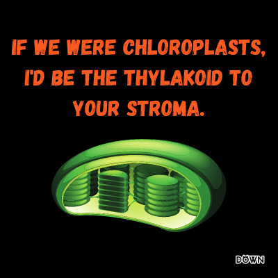 How Chloroplast Pickup Lines Can Bloom Connections